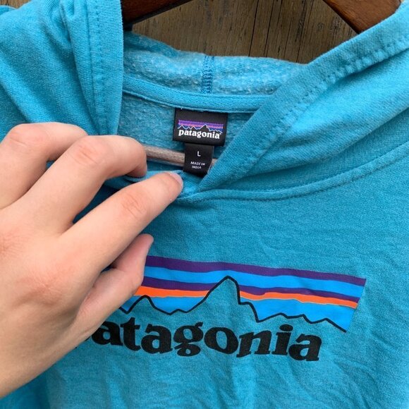 Patagonia BIG Logo Sweater Hoodie Large Blue - Picture 3 of 3